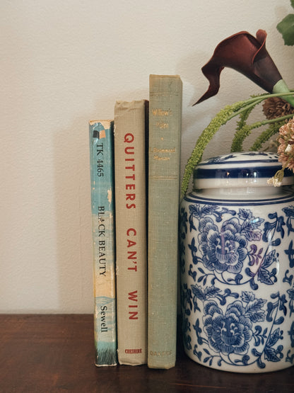 Vintage Western Book Stack