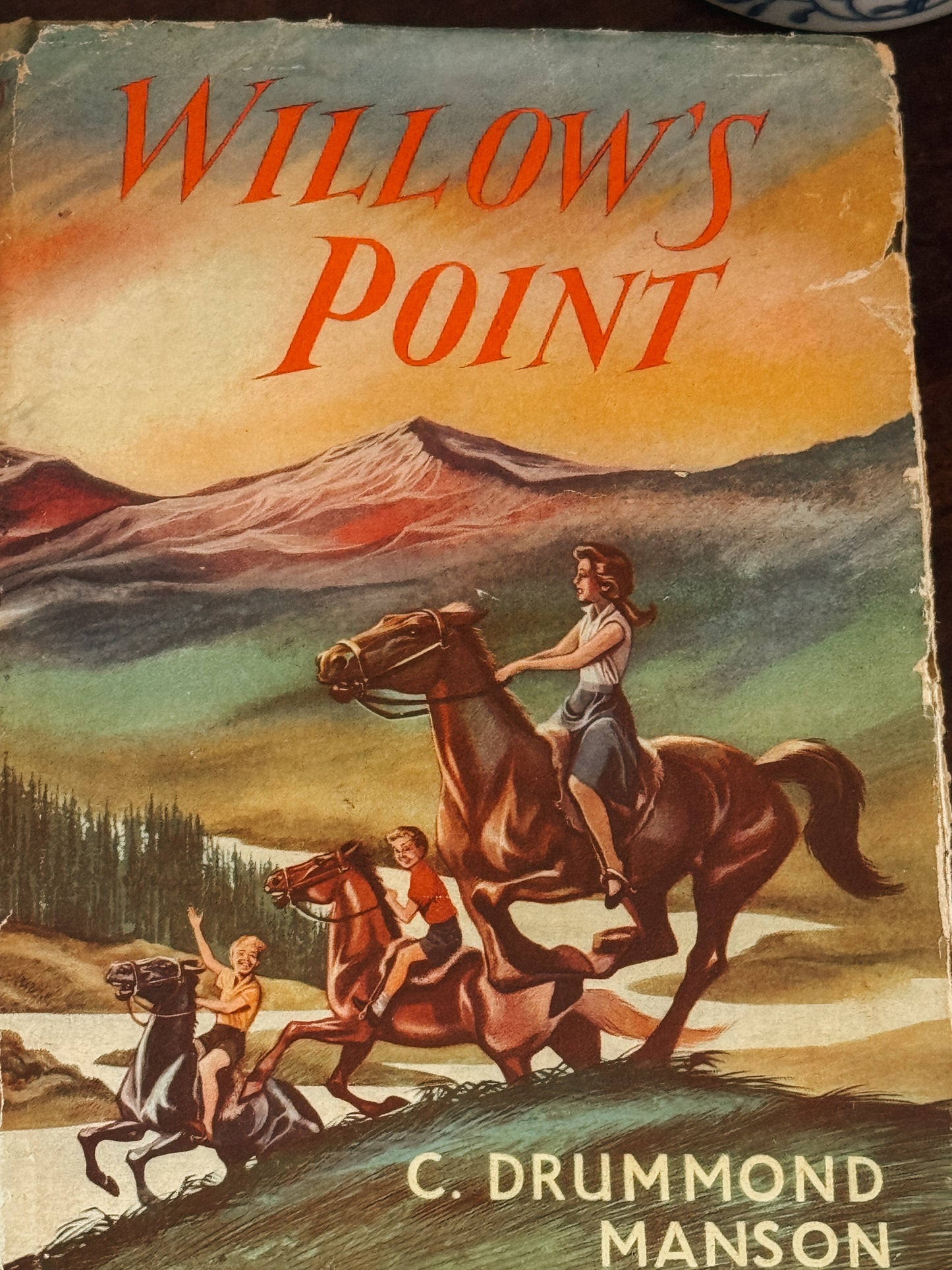 Vintage Western Book Stack