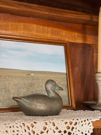 Painted Duck