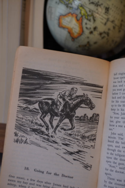 Vintage Western Book Stack