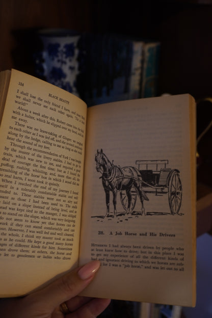 Vintage Western Book Stack