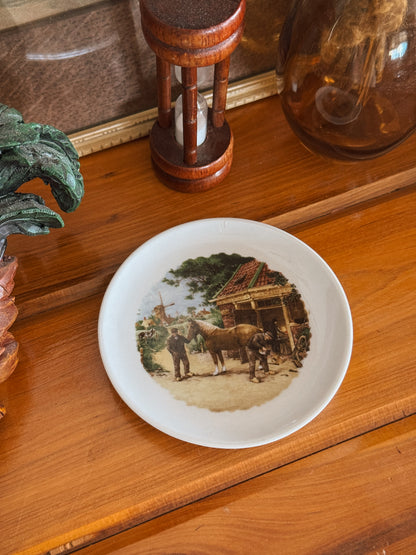 Display Plate Mini