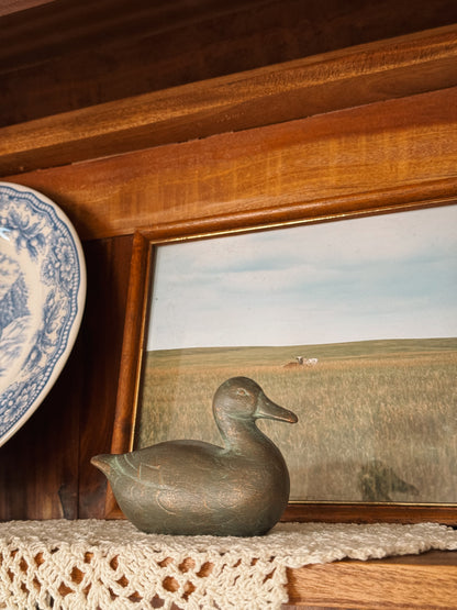 Painted Duck