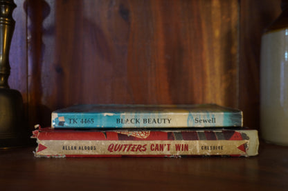 Vintage Western Book Stack