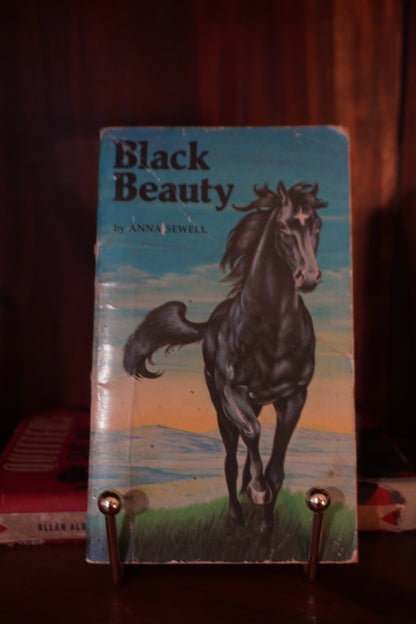 Vintage Western Book Stack